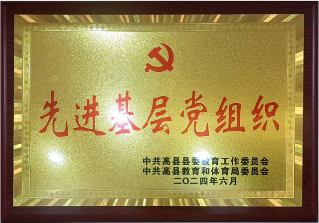 党建引领聚合力 担当作为谋新篇 高县逸夫小学校2024年党建